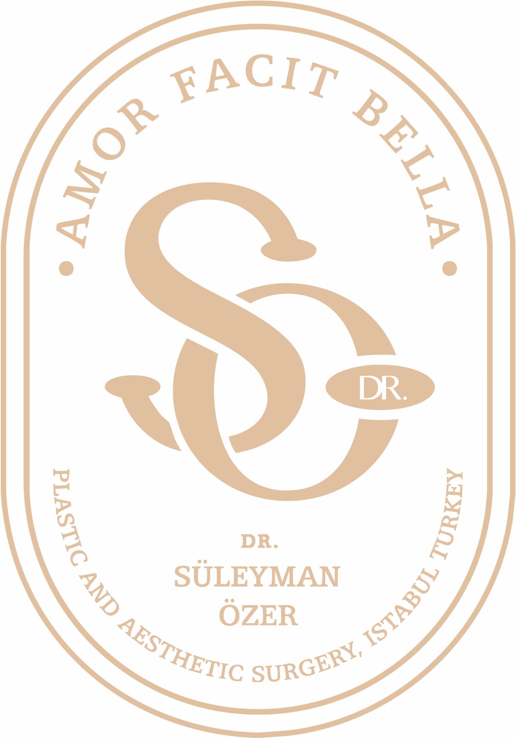 dr suleyan ozer gold logo 1 scaled