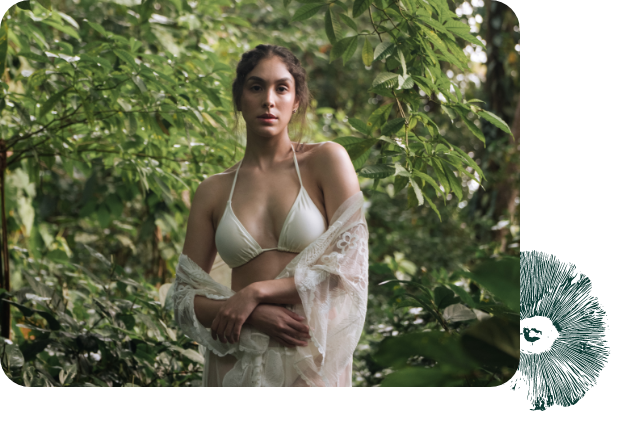 Preserve 2 7e182622bc15a23363aad5571e964ef1 1