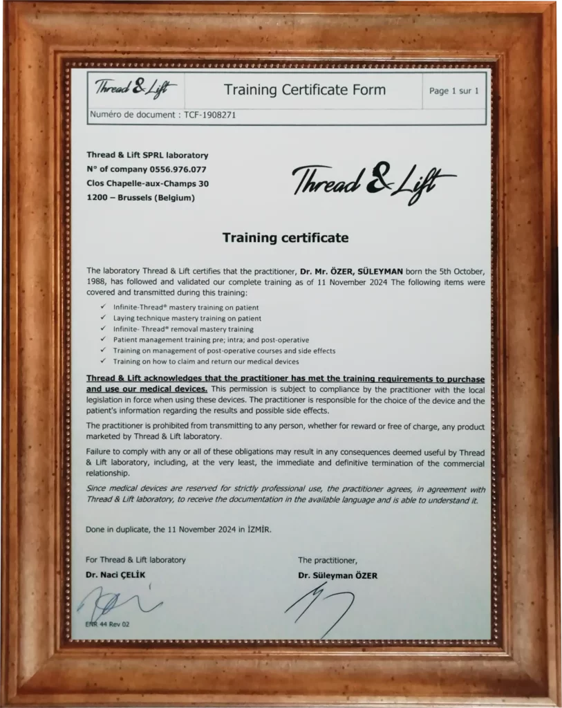 b 1 scaled e1762242273333